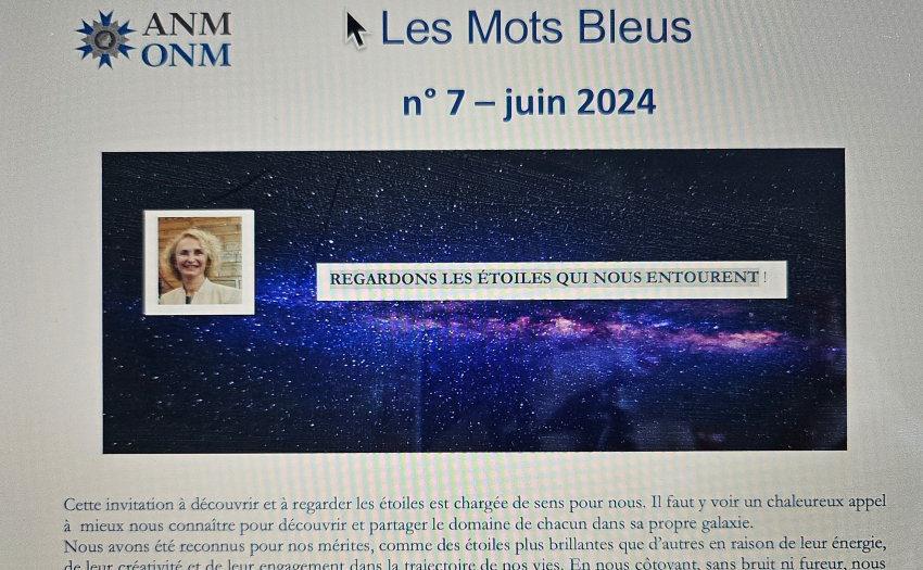 La page d'accueil des Mots Bleus 